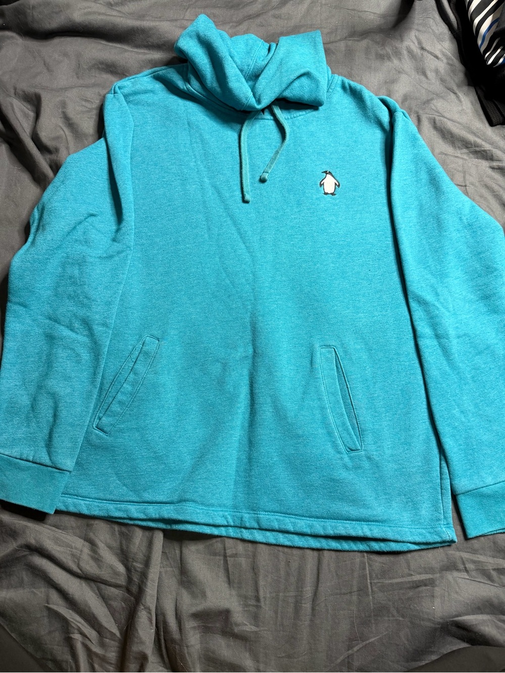 Men’s Teal Pullover Hoodie with Penguin Logo
